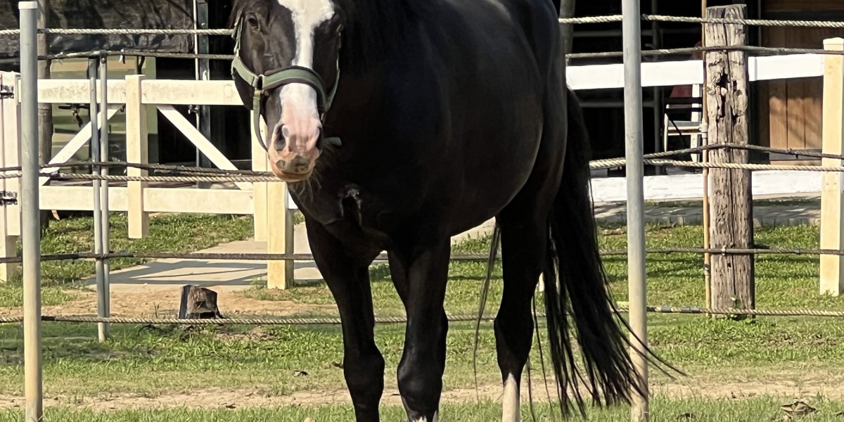 MGBOX人脈軟體！創造無限的資源連結！